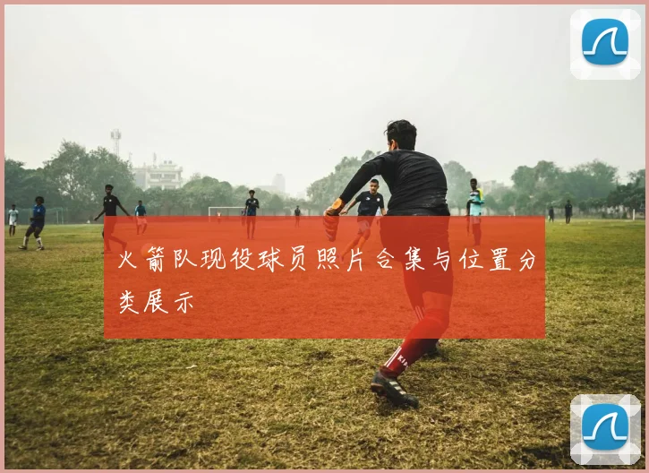 火箭队现役球员照片合集与位置分类展示