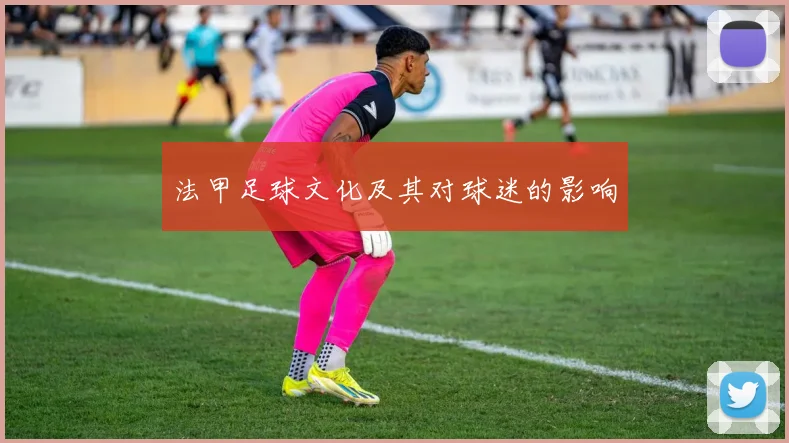法甲足球文化及其对球迷的影响